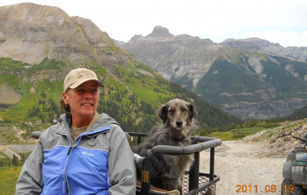 ATV Dog Carrier