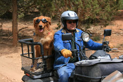 Dusty Dogs ATV Dog Box