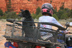 Dusty Dogs ATV Dog Box