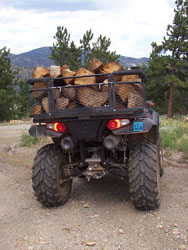 Dusty Dogs ATV Dog Box